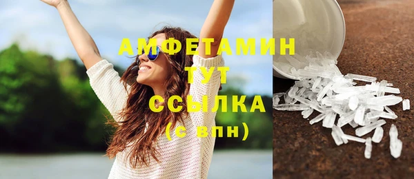 ПСИЛОЦИБИНОВЫЕ ГРИБЫ Няндома