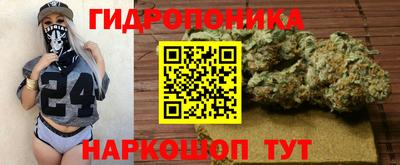 PSILOCYBIN Гусиноозёрск