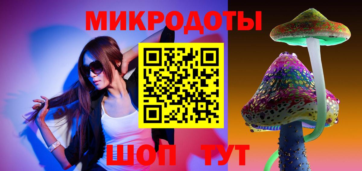 Галлюциногенные грибы Psilocybe Стрежевой